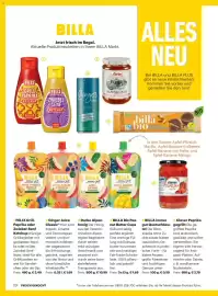Billa Flugblatt Seite 6