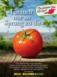 Billa Flugblatt Seite 71