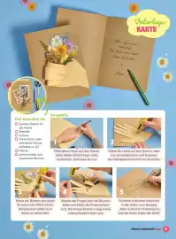 Billa Flugblatt Seite 11