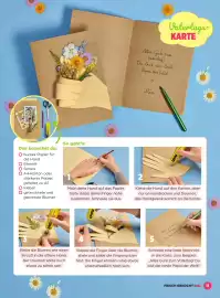 Billa Flugblatt Seite 11