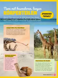 Billa Flugblatt Seite 23