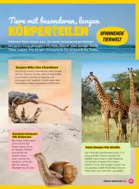 Billa Flugblatt Seite 23