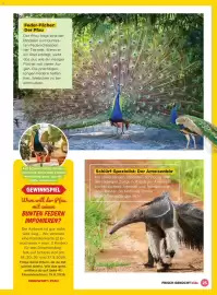 Billa Flugblatt Seite 25