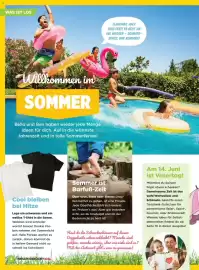Billa Flugblatt Seite 4