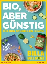 Billa Flugblatt Seite 43