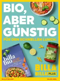 Billa Flugblatt Seite 43