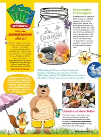 Billa Flugblatt Seite 5