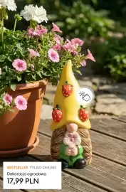 Sinsay gazetka tydzień 21 Strona 19