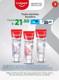 Catálogo InkaFarma semana 21 Página 11