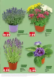 Kaufland gazetka tydzień 21 Strona 11