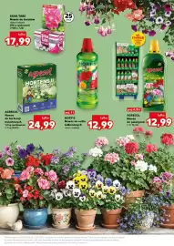 Kaufland gazetka tydzień 21 Strona 7