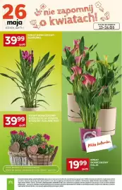 Stokrotka Market gazetka tydzień 21 Strona 11