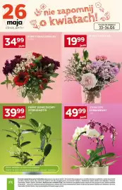Stokrotka gazetka tydzień 21 Strona 10