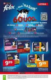 Stokrotka gazetka tydzień 21 Strona 55