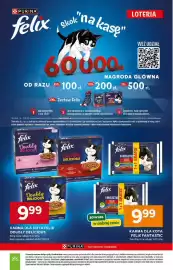 Stokrotka gazetka tydzień 21 Strona 55