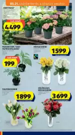 ALDI akciós újság hét 21 Oldal 32