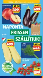 ALDI akciós újság hét 21 Oldal 33