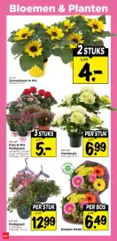 Vomar Voordeelmarkt folder Pagina 36