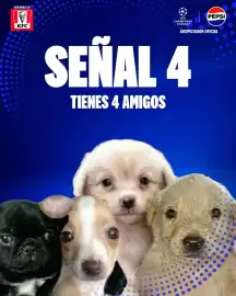 Catálogo KFC Página 5
