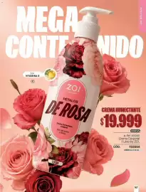 Catálogo Pacífika Página 170