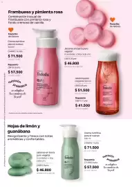 Catálogo Natura Página 104