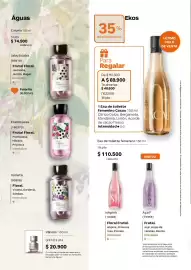 Catálogo Natura Página 42