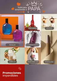 Catálogo Natura Página 5