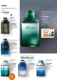 Catálogo Natura Página 51