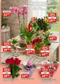 Auchan gazetka Strona 3