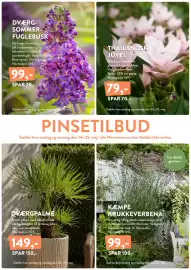 Plantorama tilbudsavis Side 3