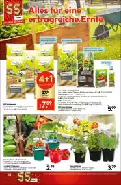 Hellweg Prospekt woche 21 Seite 14
