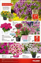 Hellweg Prospekt woche 21 Seite 15