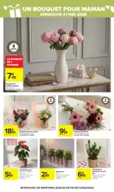 Catalogue Carrefour page 12