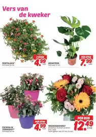 Dekamarkt folder Pagina 6