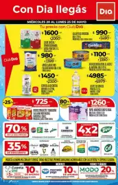 Folleto Supermercados DIA semana 21 Página 1