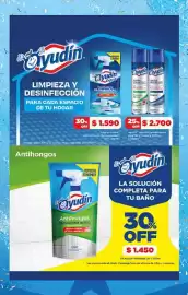 Folleto Supermercados DIA semana 21 Página 13