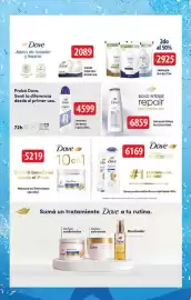 Folleto Supermercados DIA semana 21 Página 15