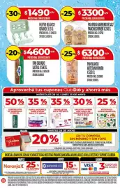 Folleto Supermercados DIA semana 21 Página 16