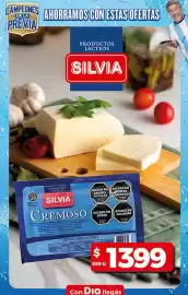 Folleto Supermercados DIA semana 21 Página 18