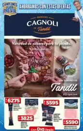Folleto Supermercados DIA semana 21 Página 19