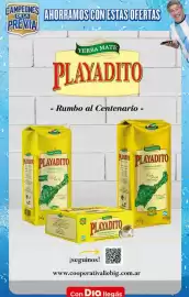 Folleto Supermercados DIA semana 21 Página 22