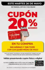 Folleto Supermercados DIA semana 21 Página 24