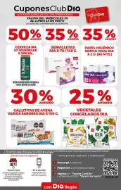 Folleto Supermercados DIA semana 21 Página 25