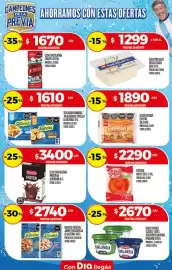 Folleto Supermercados DIA semana 21 Página 30