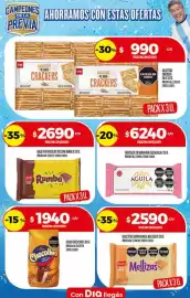 Folleto Supermercados DIA semana 21 Página 33