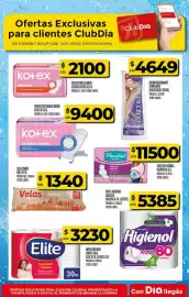 Folleto Supermercados DIA semana 21 Página 41