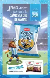 Folleto Supermercados DIA semana 21 Página 7