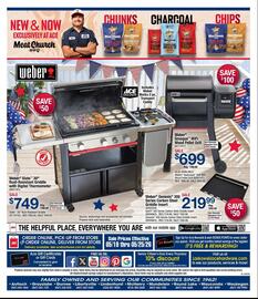 Ace Hardware flyer week 21 Page 6