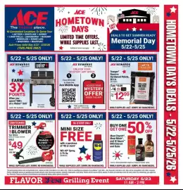 Ace Hardware flyer week 21 Page 3