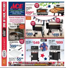 Ace Hardware flyer week 21 Page 4